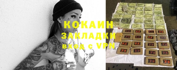 ешки Арсеньев